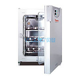 Thermo赛默飞世尔 BB15 CO2细胞培养箱